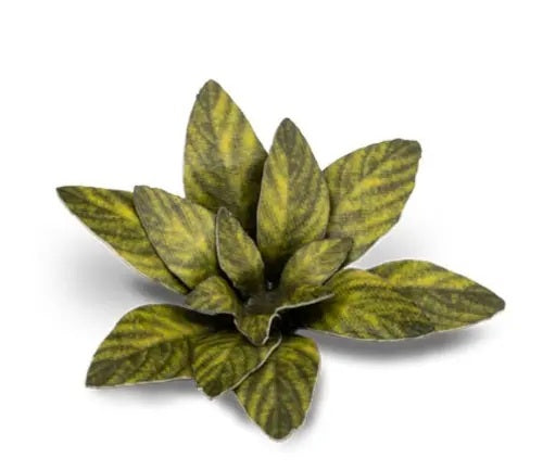 GamersGrass Laser Plants Dumb Cane für Bases, Dioramen und Geländebau