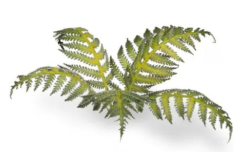 GamersGrass Laser Plants Bracken mit Farnwedeln für Bases, Dioramen und Geländebau