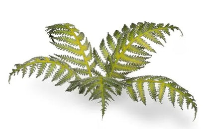 GamersGrass Laser Plants Bracken mit Farnwedeln für Bases, Dioramen und Geländebau