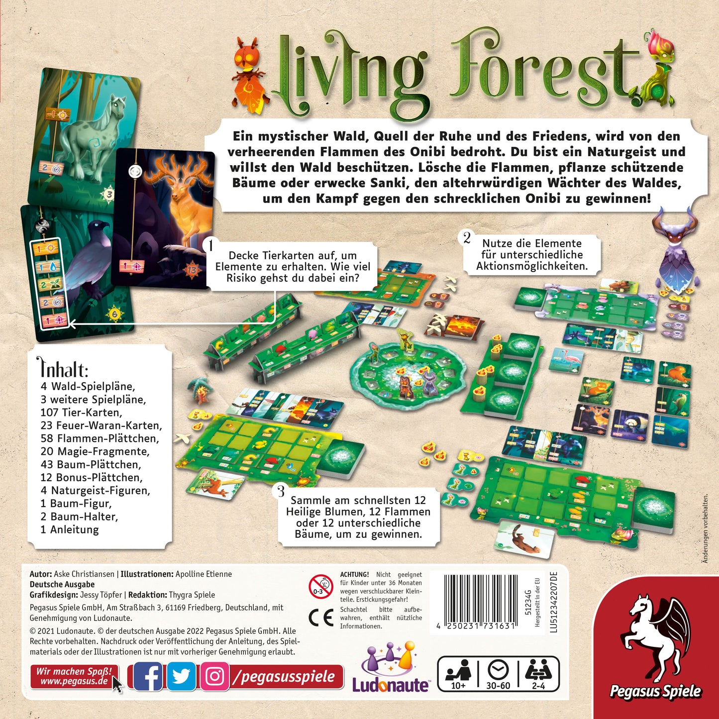 Living Forest Brettspiel Rückseite mit Spielbeschreibung und Spielmaterial