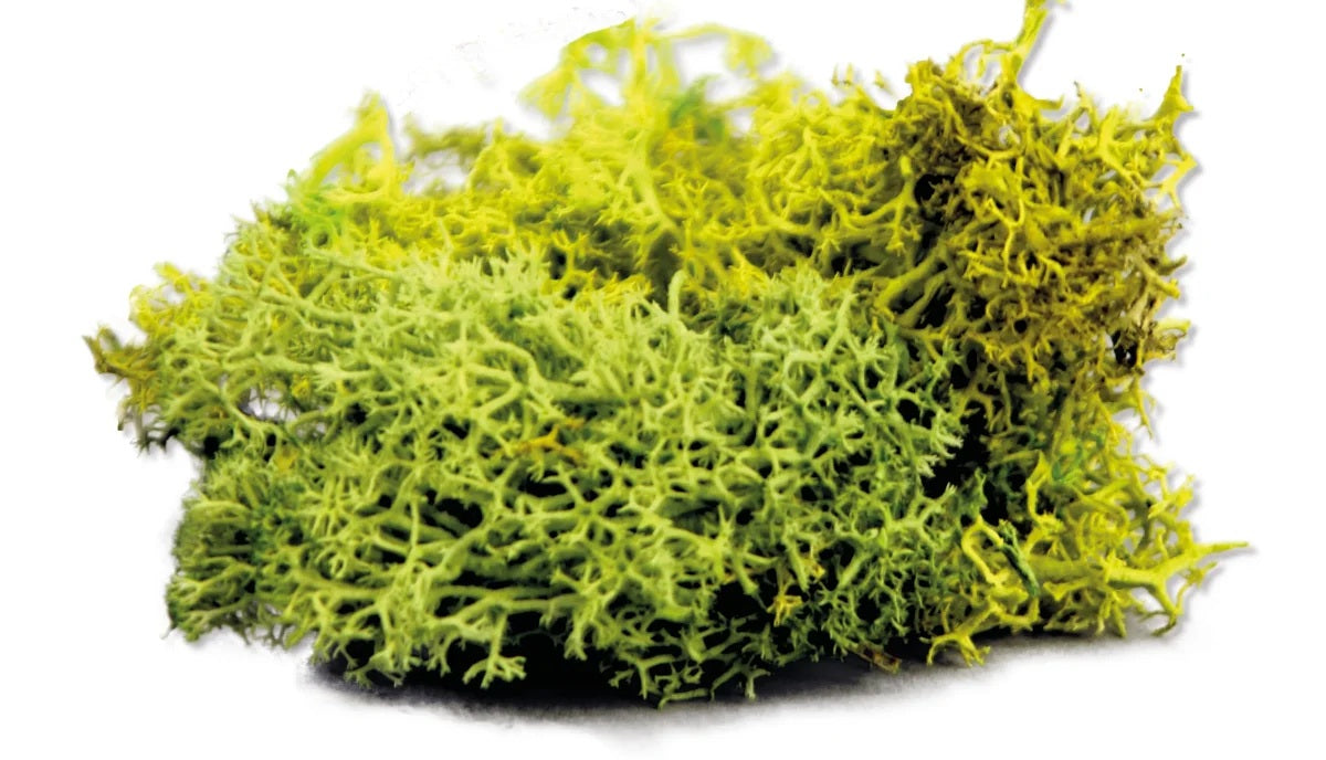 The Army Painter Summer Undergrowth  Basing-Material für die Gestaltung von Tabletop-Bases und Geländestücken